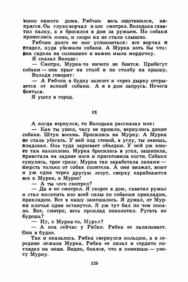 Борис Житков - Найденыш - Страница № 123