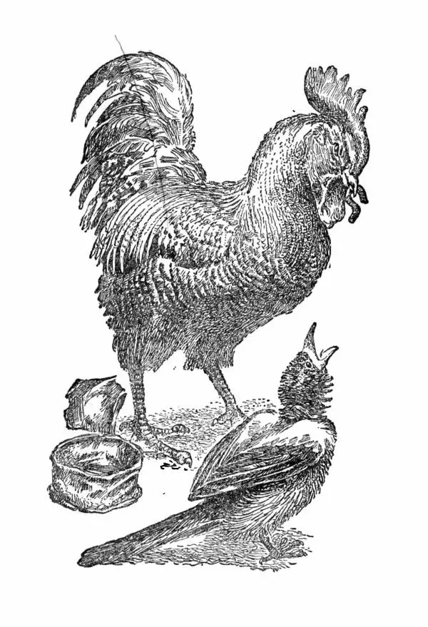 Борис Житков - Найденыш - Страница № 172