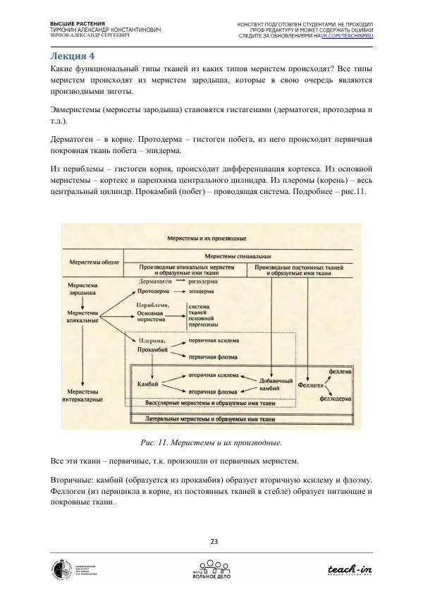 Александр Зернов - Высшие растения - Страница № 23