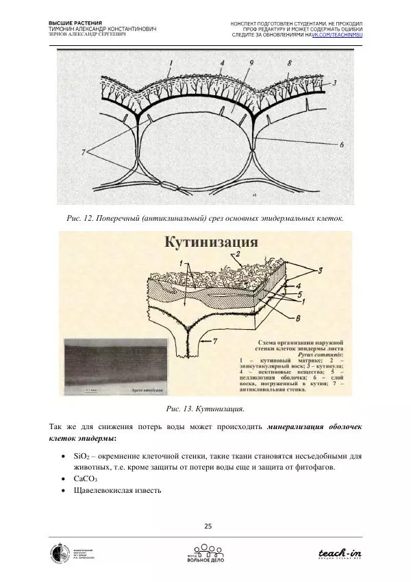 Александр Зернов - Высшие растения - Страница № 25