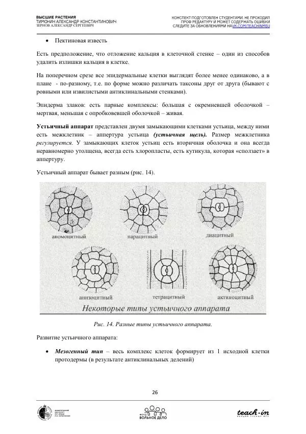 Александр Зернов - Высшие растения - Страница № 26