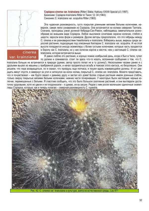 Грэм Чарльз - Копьяпоа — Copiapoa - Страница № 32