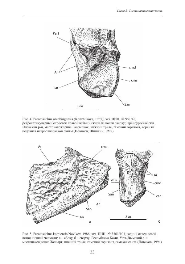 И. Новиков - Раннетриасовые амфибии Восточной Европы: эволюция доминантных групп и особенности смены сообществ - Страница № 53