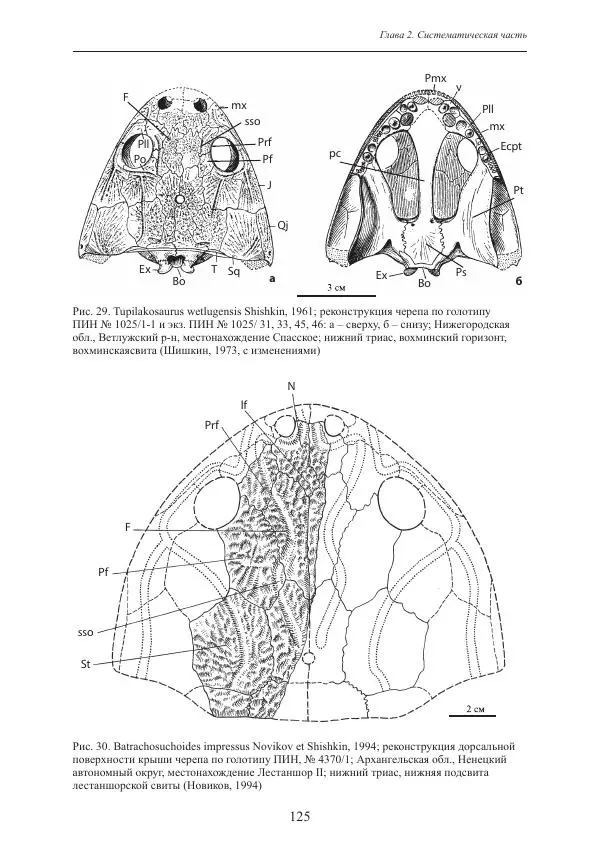 И. Новиков - Раннетриасовые амфибии Восточной Европы: эволюция доминантных групп и особенности смены сообществ - Страница № 125