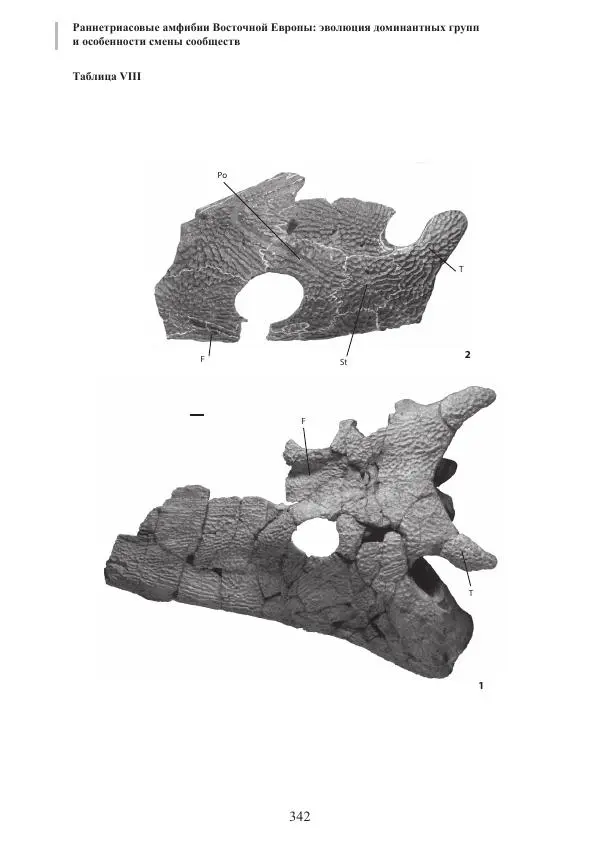 И. Новиков - Раннетриасовые амфибии Восточной Европы: эволюция доминантных групп и особенности смены сообществ - Страница № 342