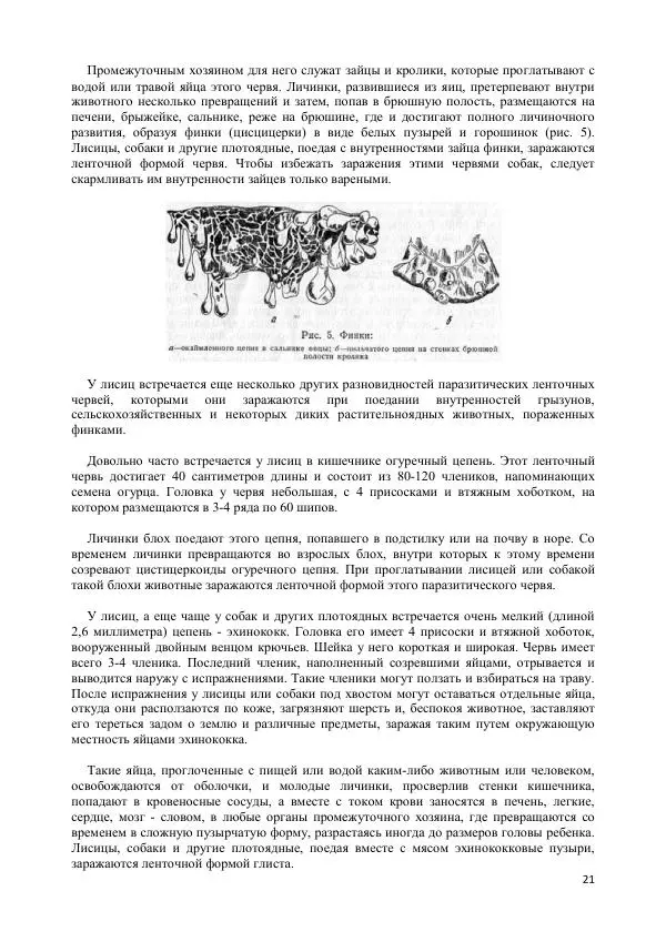 Ю. Герасимов - Лисица - Страница № 21