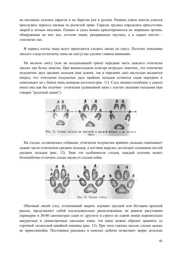 Ю. Герасимов - Лисица - Страница № 41