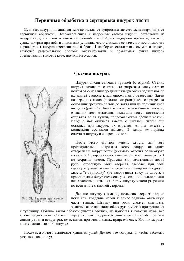 Ю. Герасимов - Лисица - Страница № 62