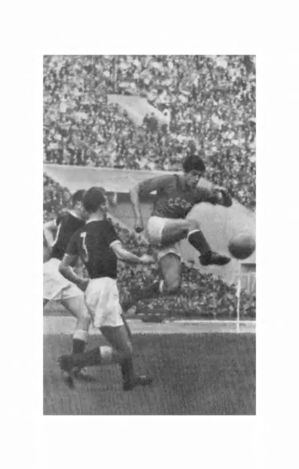 Эдуард Стрельцов - Вижу поле... - Страница № 137