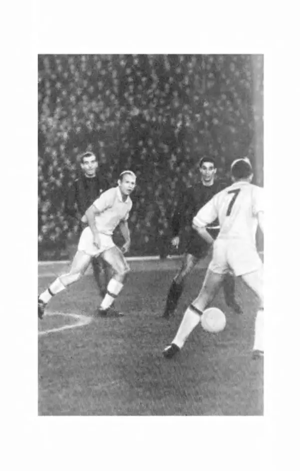 Эдуард Стрельцов - Вижу поле... - Страница № 143