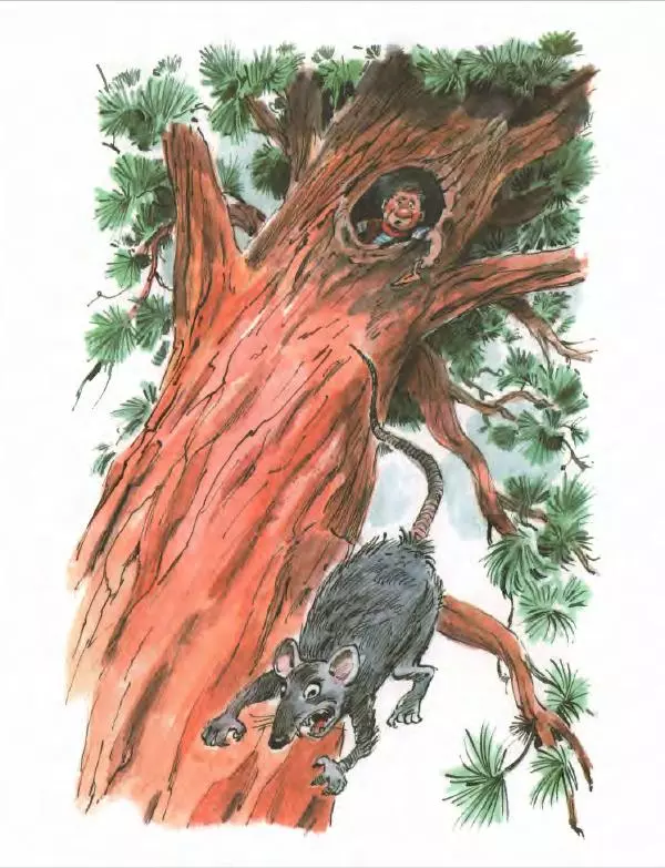 Эно Рауд - Муфта, Полботинка и Моховая Борода. Книги 1-2 - Страница № 160