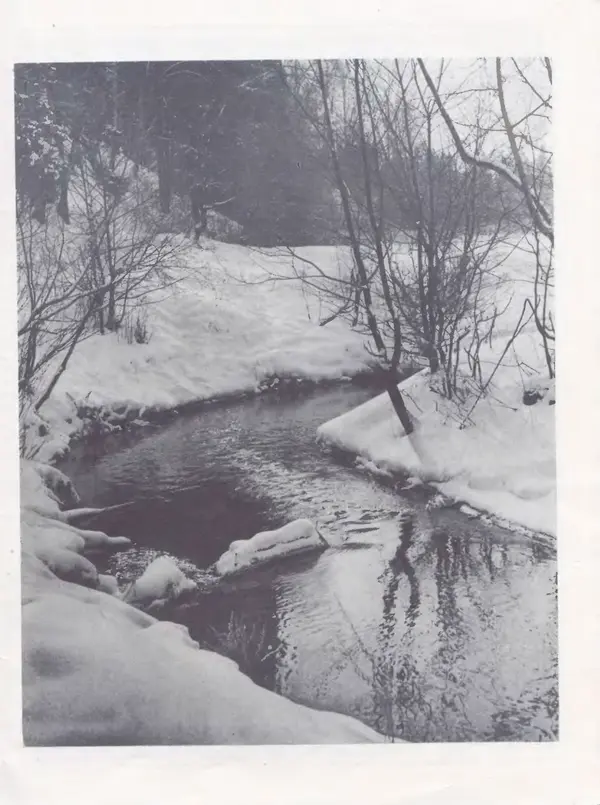  Журнал «Здоровье» - Здоровье 1985 №04 - Страница № 39