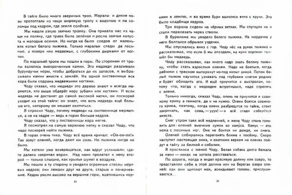 Геннадий Снегирёв - На холодной реке - Страница № 19