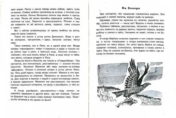 Геннадий Снегирёв - На холодной реке - Страница № 35