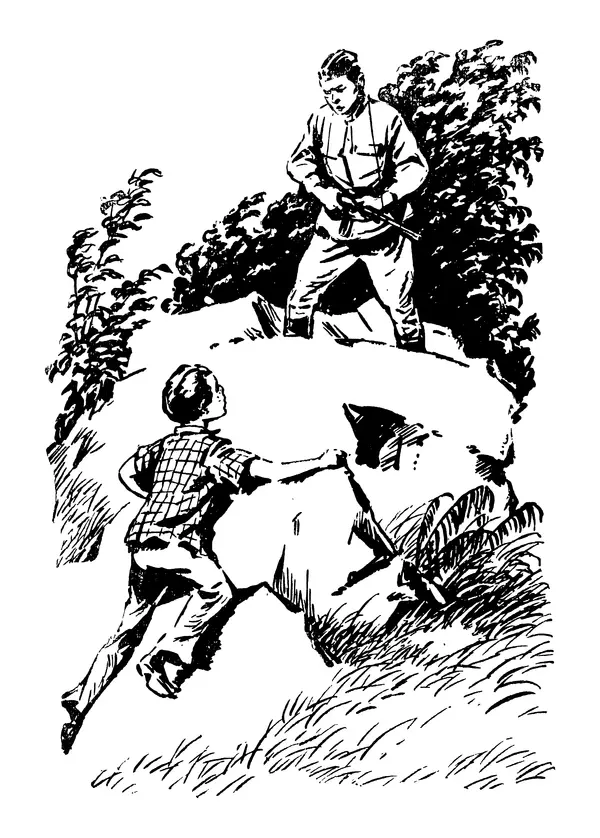 Всеволод Нестайко - Тайна трех неизвестных - Страница № 73