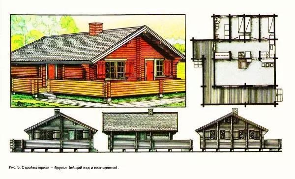 Виктор Страшнов - Сельский жилой дом - Страница № 9