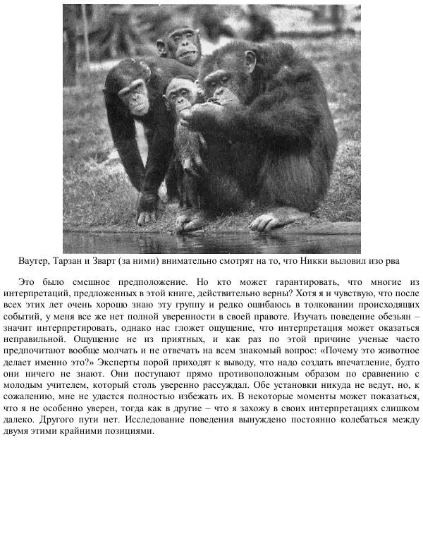 Франс де Вааль - Политика у шимпанзе. Власть и секс у приматов - Страница № 26