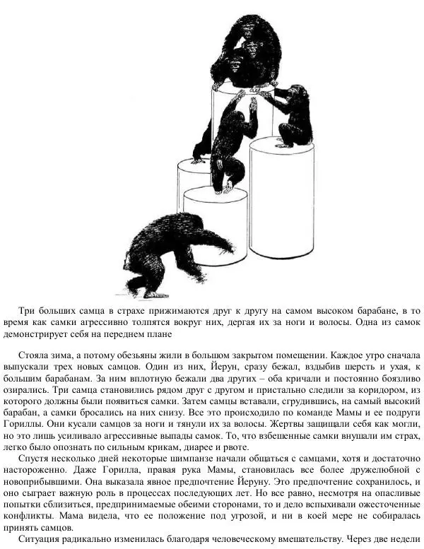 Франс де Вааль - Политика у шимпанзе. Власть и секс у приматов - Страница № 52