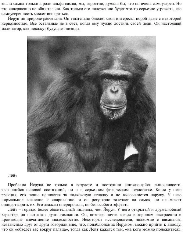 Франс де Вааль - Политика у шимпанзе. Власть и секс у приматов - Страница № 57