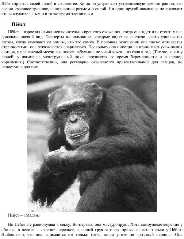 Франс де Вааль - Политика у шимпанзе. Власть и секс у приматов - Страница № 58