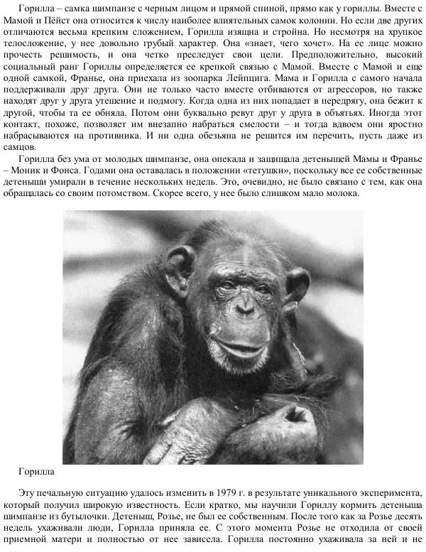 Франс де Вааль - Политика у шимпанзе. Власть и секс у приматов - Страница № 60