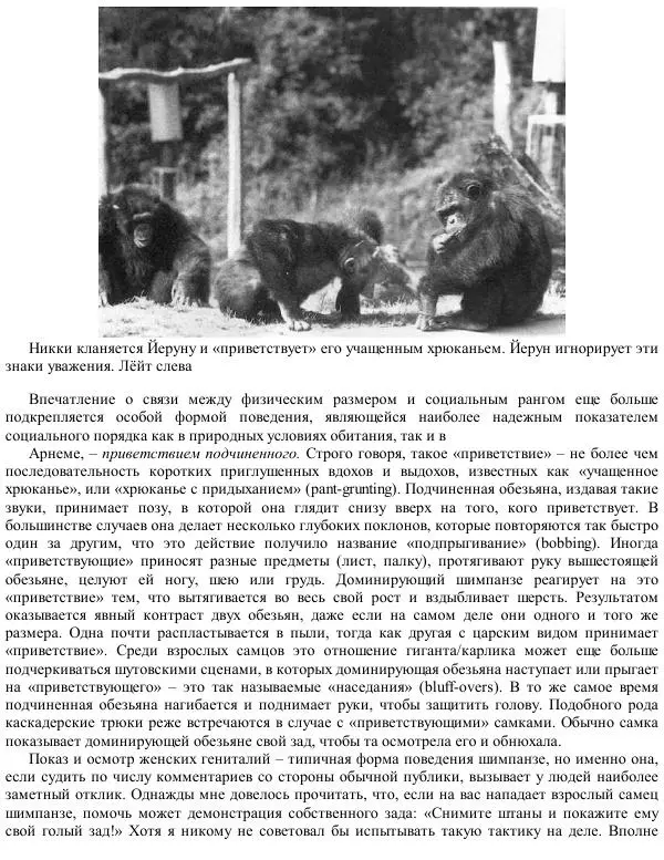 Франс де Вааль - Политика у шимпанзе. Власть и секс у приматов - Страница № 79