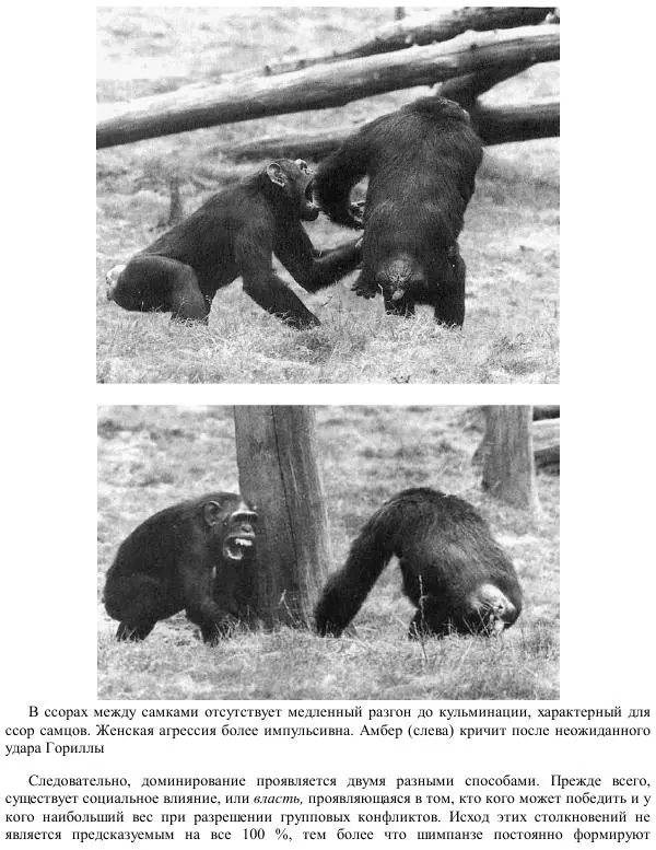 Франс де Вааль - Политика у шимпанзе. Власть и секс у приматов - Страница № 81