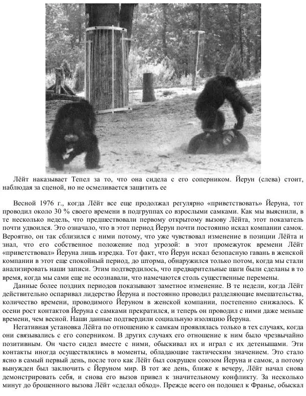 Франс де Вааль - Политика у шимпанзе. Власть и секс у приматов - Страница № 88