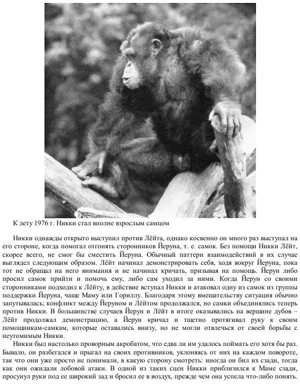 Франс де Вааль - Политика у шимпанзе. Власть и секс у приматов - Страница № 92