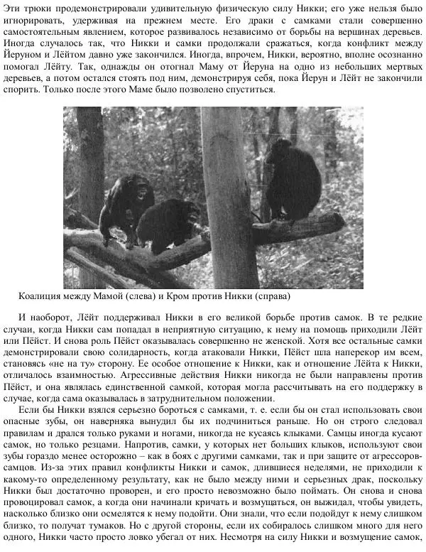 Франс де Вааль - Политика у шимпанзе. Власть и секс у приматов - Страница № 93
