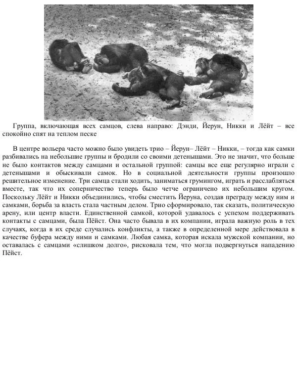 Франс де Вааль - Политика у шимпанзе. Власть и секс у приматов - Страница № 106