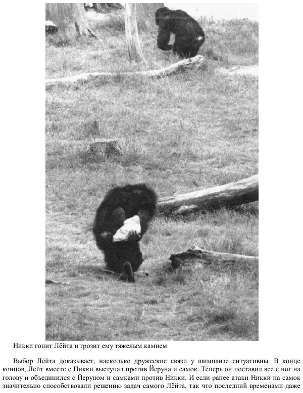 Франс де Вааль - Политика у шимпанзе. Власть и секс у приматов - Страница № 112