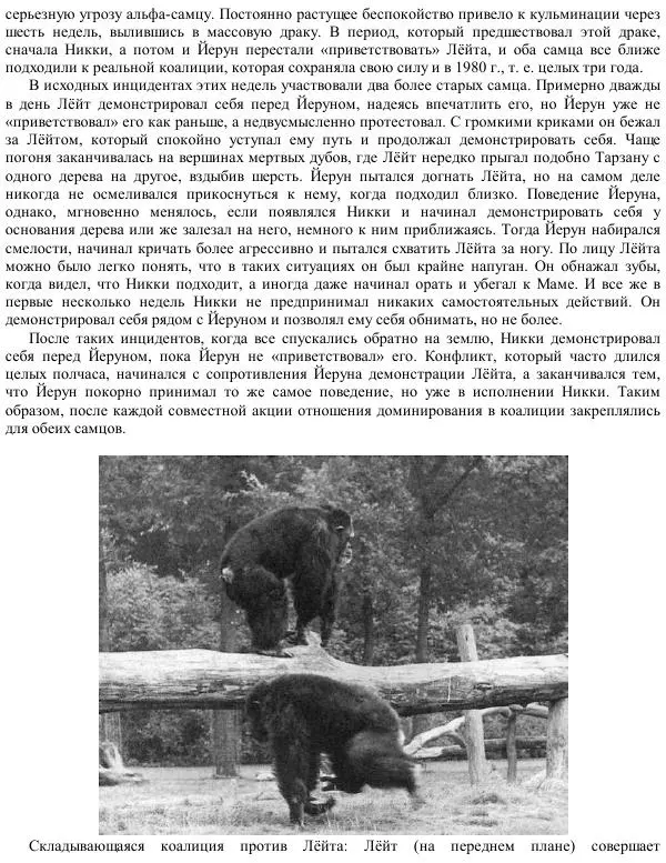 Франс де Вааль - Политика у шимпанзе. Власть и секс у приматов - Страница № 115