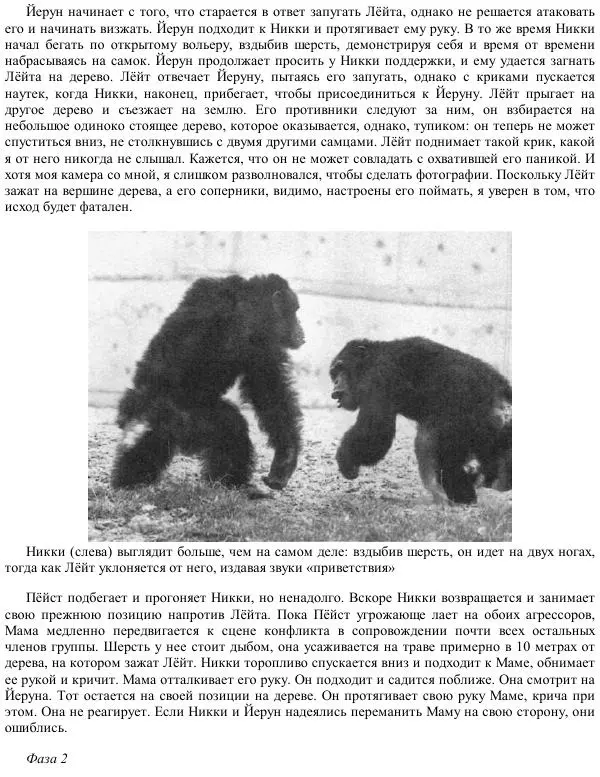 Франс де Вааль - Политика у шимпанзе. Власть и секс у приматов - Страница № 120