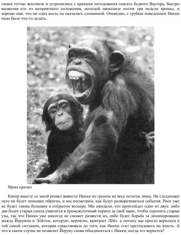 Франс де Вааль - Политика у шимпанзе. Власть и секс у приматов - Страница № 122