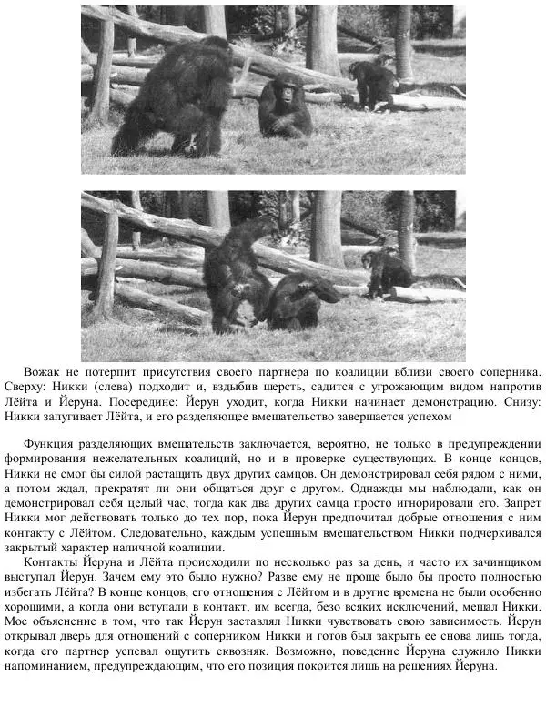Франс де Вааль - Политика у шимпанзе. Власть и секс у приматов - Страница № 132
