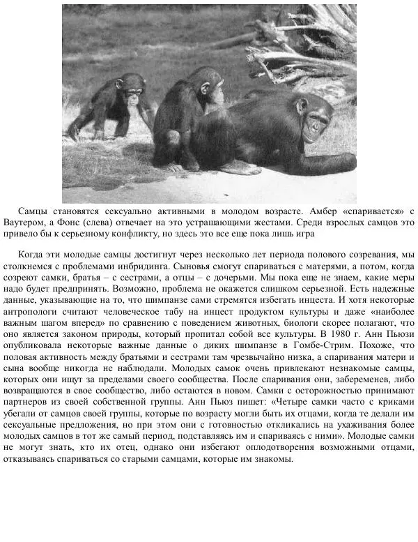 Франс де Вааль - Политика у шимпанзе. Власть и секс у приматов - Страница № 146