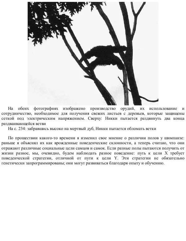 Франс де Вааль - Политика у шимпанзе. Власть и секс у приматов - Страница № 173