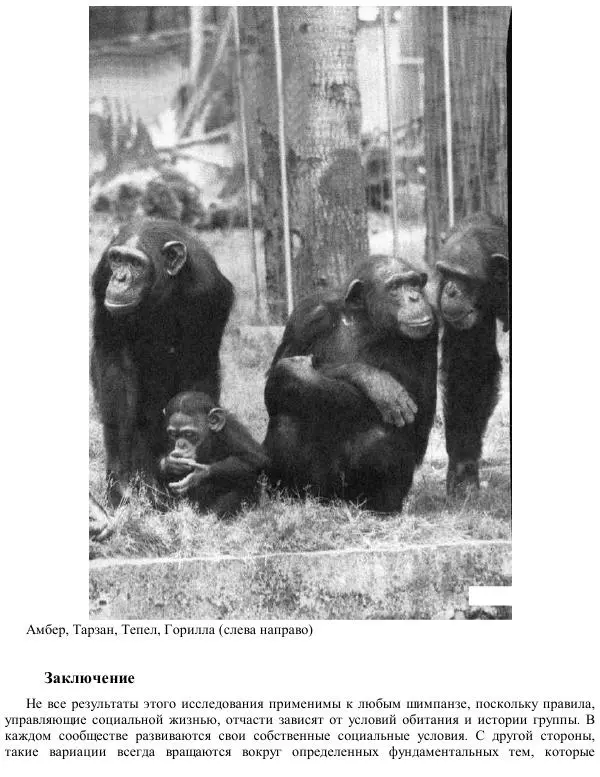 Франс де Вааль - Политика у шимпанзе. Власть и секс у приматов - Страница № 183