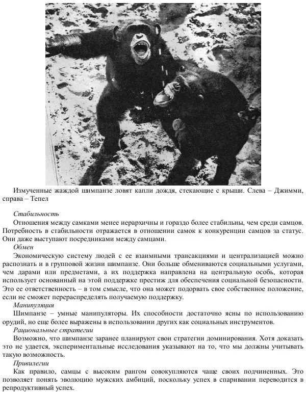 Франс де Вааль - Политика у шимпанзе. Власть и секс у приматов - Страница № 185
