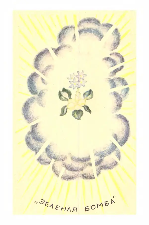 Борис Головкин - Рассказы о растениях-переселенцах - Страница № 105