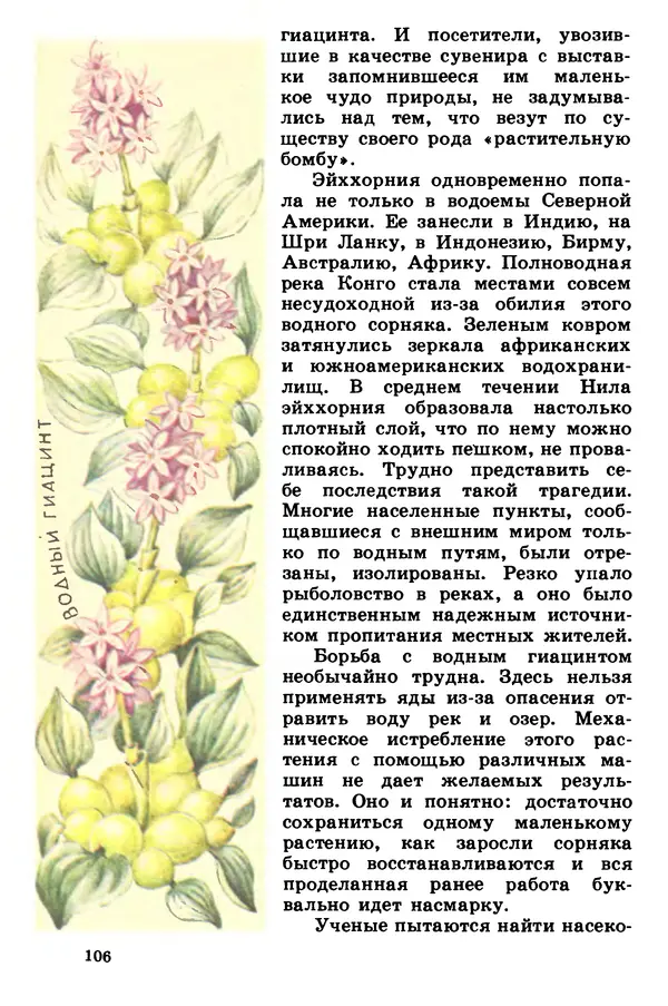 Борис Головкин - Рассказы о растениях-переселенцах - Страница № 107
