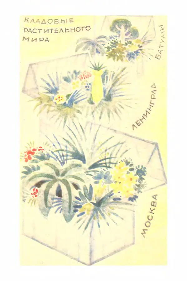 Борис Головкин - Рассказы о растениях-переселенцах - Страница № 117