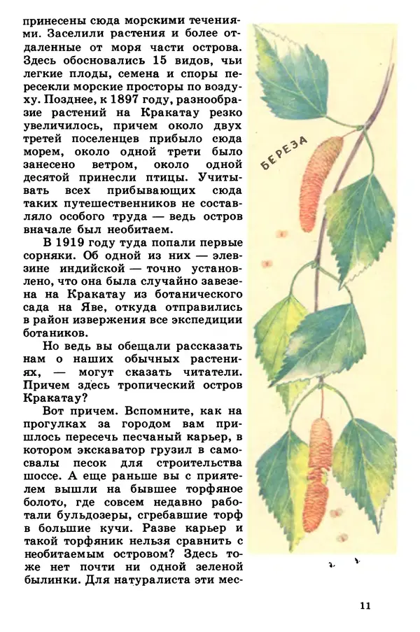 Борис Головкин - Рассказы о растениях-переселенцах - Страница № 12