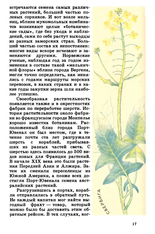 Борис Головкин - Рассказы о растениях-переселенцах - Страница № 18