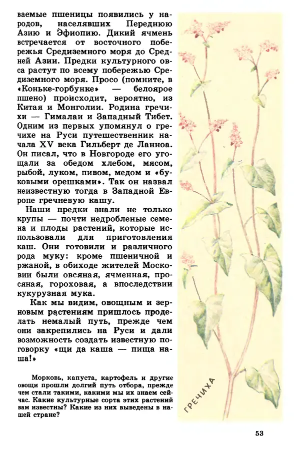 Борис Головкин - Рассказы о растениях-переселенцах - Страница № 54