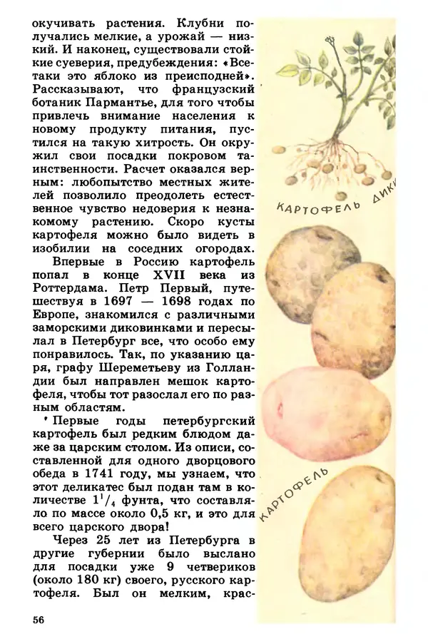 Борис Головкин - Рассказы о растениях-переселенцах - Страница № 57