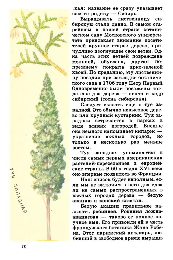 Борис Головкин - Рассказы о растениях-переселенцах - Страница № 71