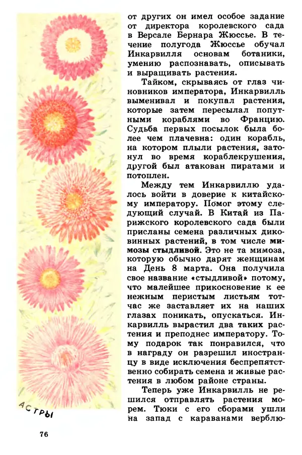 Борис Головкин - Рассказы о растениях-переселенцах - Страница № 77