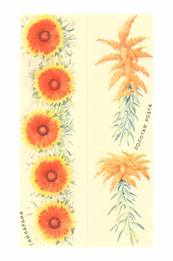 Борис Головкин - Рассказы о растениях-переселенцах - Страница № 83